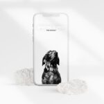 Front View of Clean iPhone 12 Pro Clay Mockup