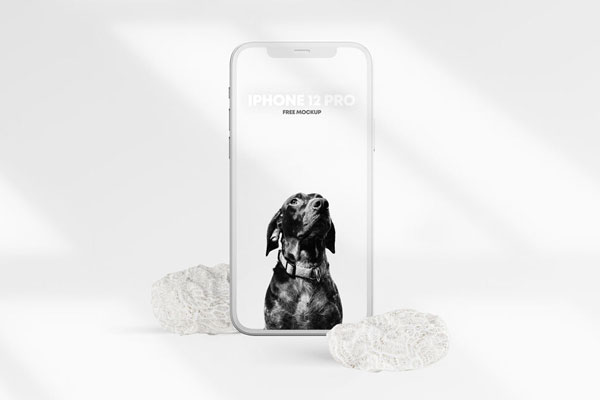 Front View of Clean iPhone 12 Pro Clay Mockup