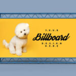 Front View of Horizontal Simple Billboard Backdrop Mockup