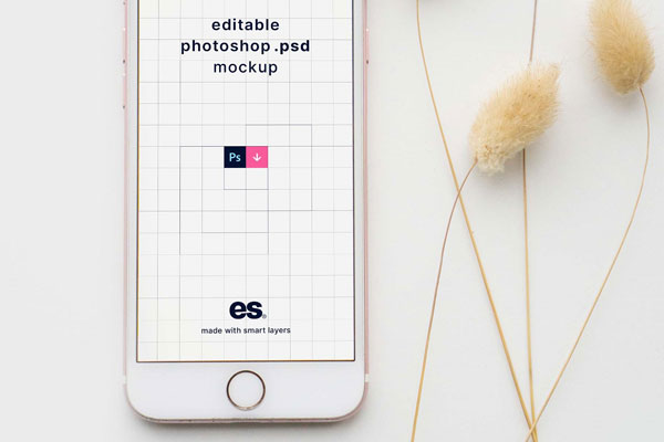 Front View of Neat iPhone Mockup Featuring Artistic Set