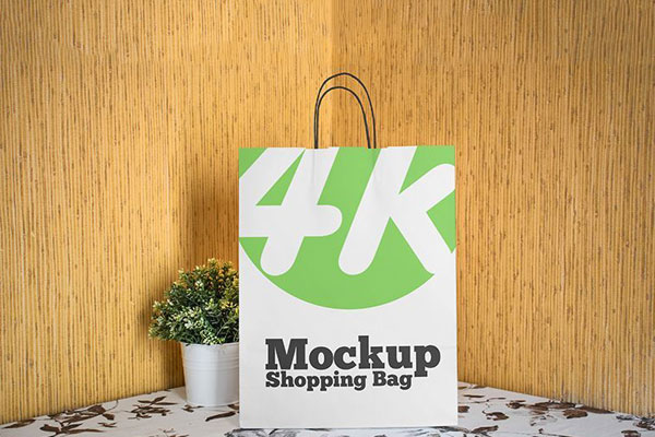 Front View of Standing Paper Shopping Bag Mockup