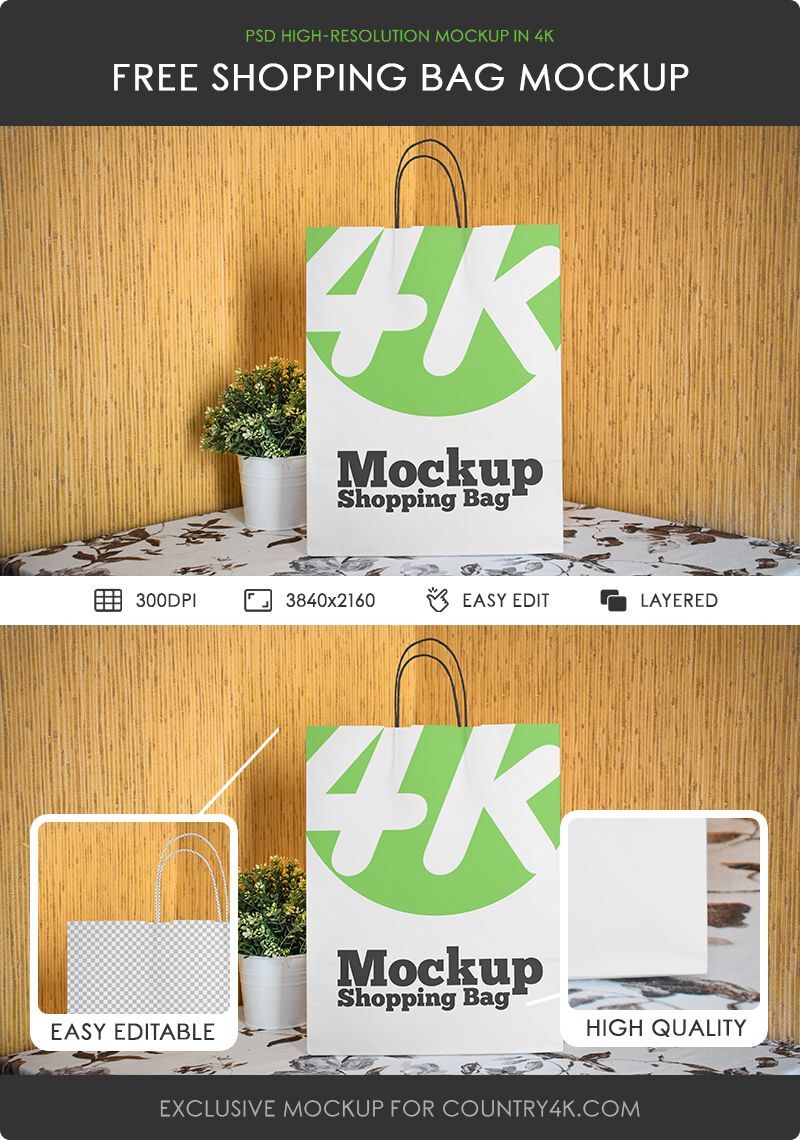 Front View of Standing Paper Shopping Bag Mockup FREE PSD
