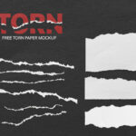 Front View of Torn Papers Mockup