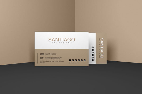 Front View of Two Business Cards ahead of Walls Mockup