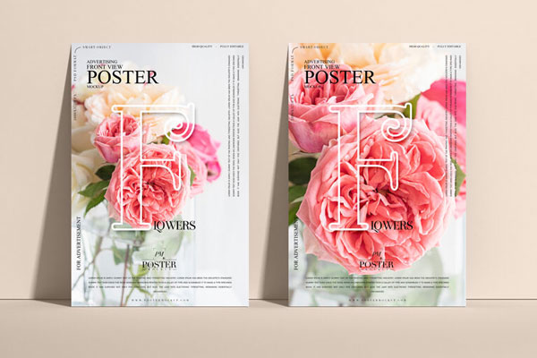 Front View of Two Posters Mockup