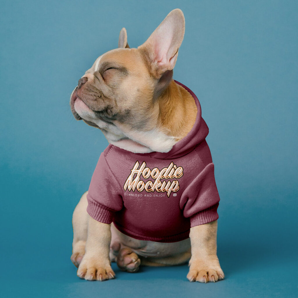 Front Vision of Small Dog Hoodie Mockup