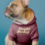 Front Vision of Small Dog Hoodie Mockup