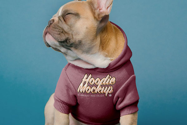 Front Vision of Small Dog Hoodie Mockup
