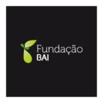 Fundacao BAI Logo
