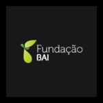 Fundacao BAI Logo