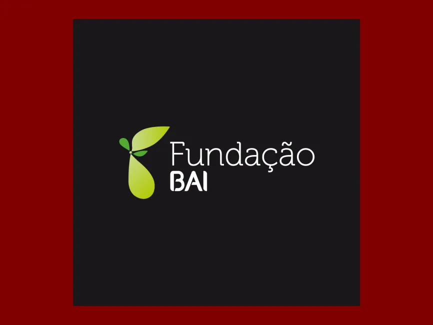 Fundacao BAI Logo