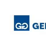 Gerdau 2011 Logo