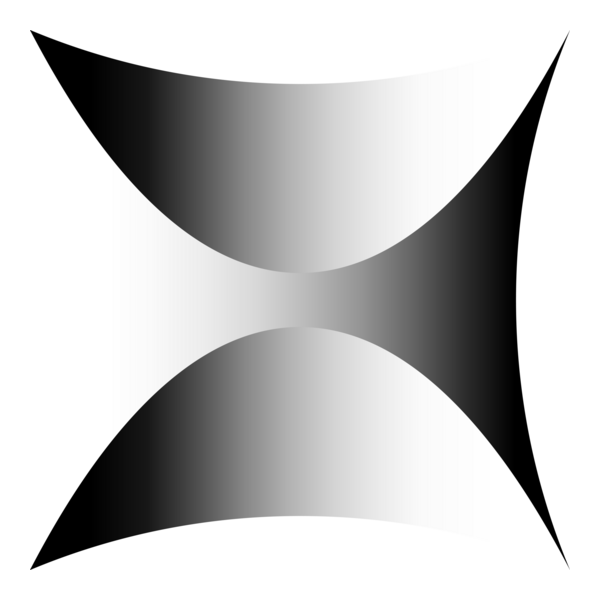 Google X Logo