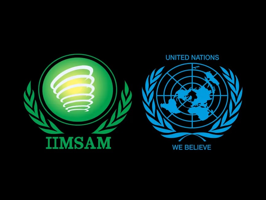 IIMSAM UN Logo
