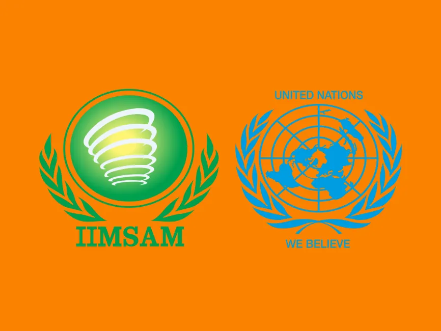 IIMSAM UN Logo