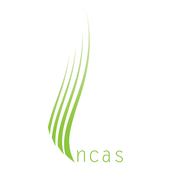 incas