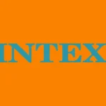 INTEX Logo