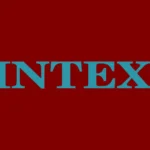 INTEX Logo