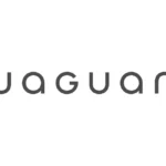 Jaguar New 2025 Wordmark Logo
