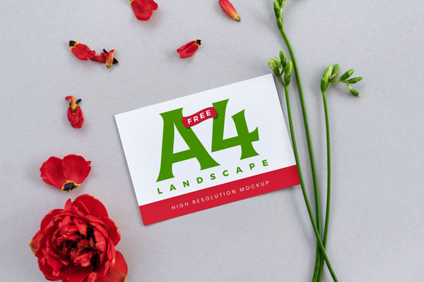Landscape A4 Flyer Mockup with a Flower and Petals
