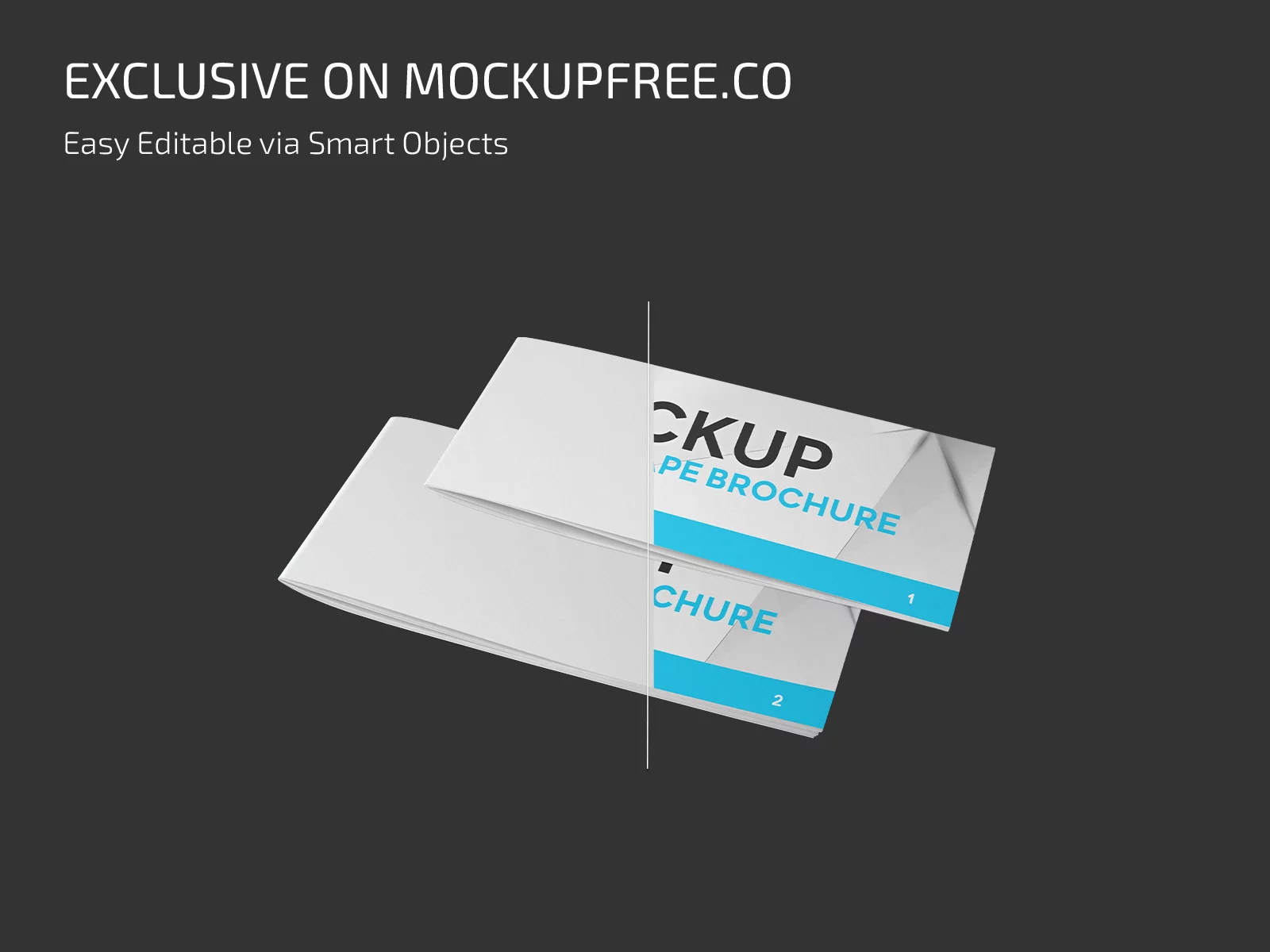 Free Landscape Brochure Mockups PSD Template