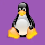 Linux Penguin Logo