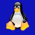 Linux Penguin Logo
