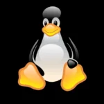 Linux Penguin Logo