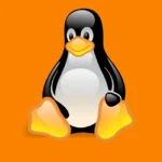 Linux Penguin Logo