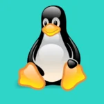 Linux Penguin Logo