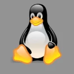 Linux Penguin Logo