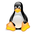 Linux Penguin Logo