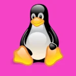 Linux Penguin Logo