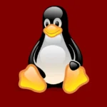 Linux Penguin Logo