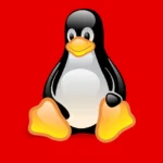 Linux Penguin Logo