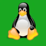 Linux Penguin Logo