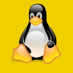 Linux Penguin Logo