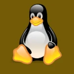 Linux Penguin Logo