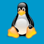 Linux Penguin Logo