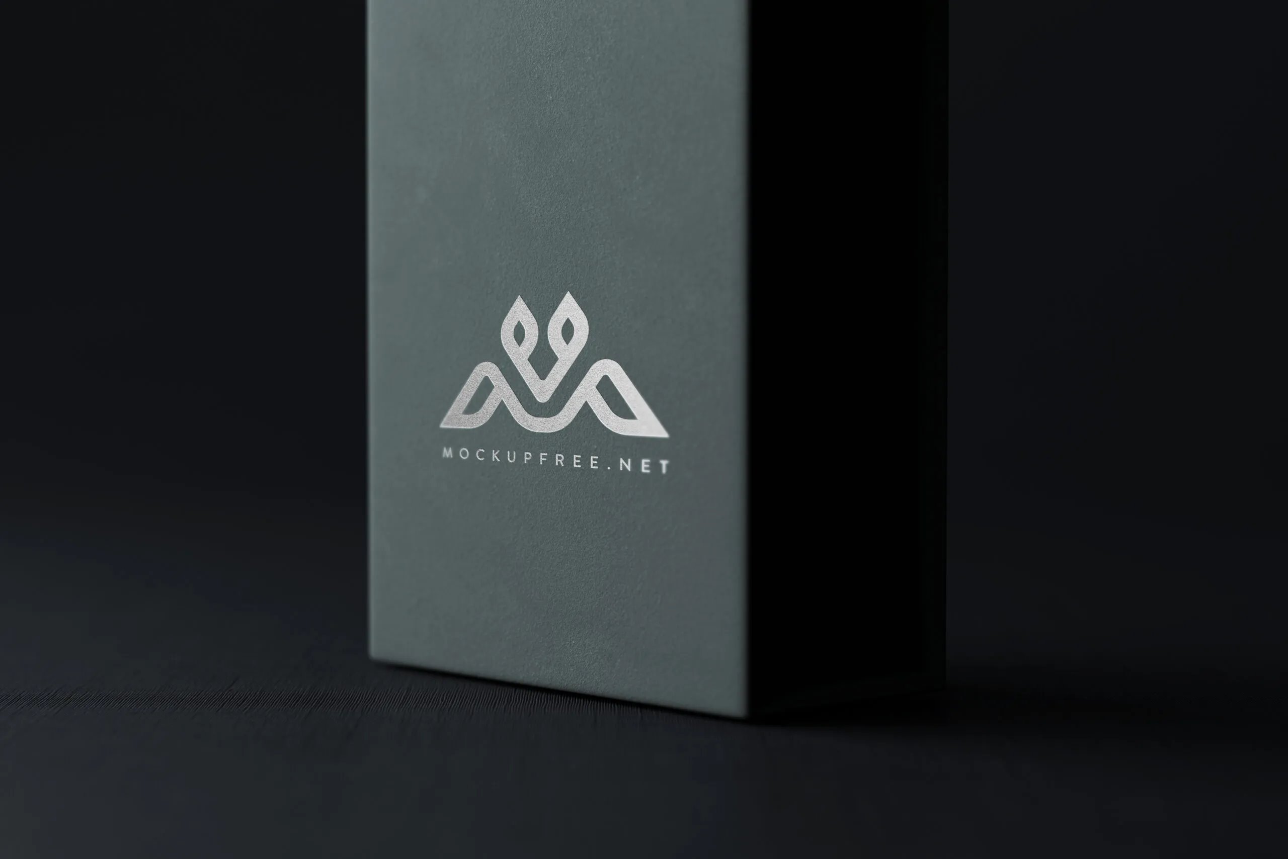 Logo Mockup on Rectangular Box in Front Sight FREE PSD