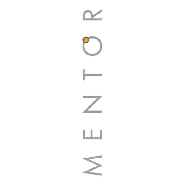 mentor istanbul