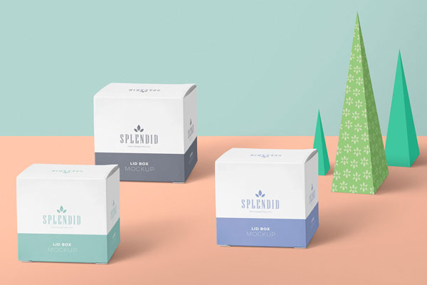 Mockup of 3 Square Paper Boxes with Origami Trees