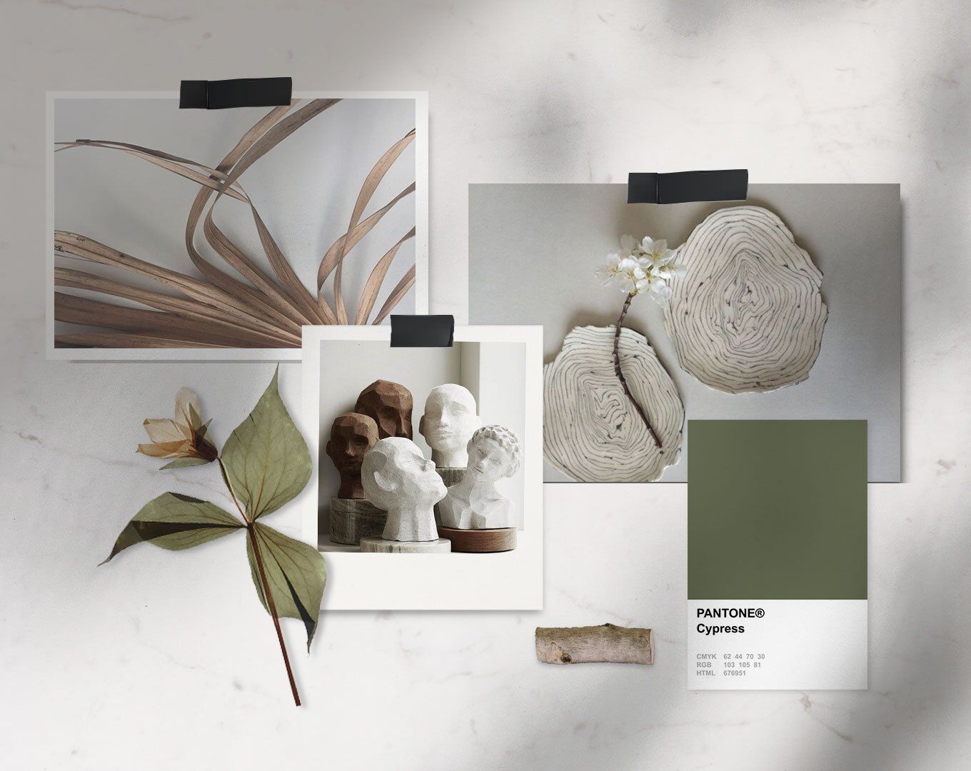 Mockup Of a Natural and Floral Moodboard FREE PSD