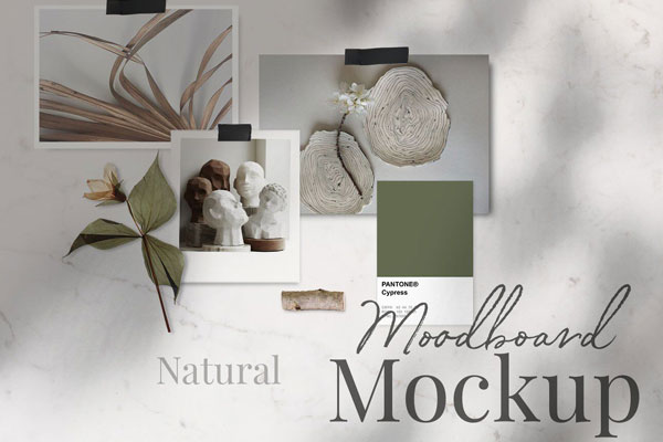 Mockup of a Natural and Floral Moodboard
