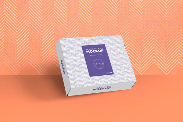 Mockup of a Packaging Box Against the Wall