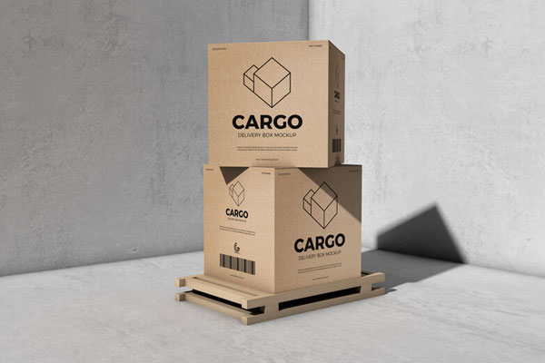Mockup Showcasing Two Packaging Cargo Delivery Boxes