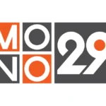 MONO 29 Logo