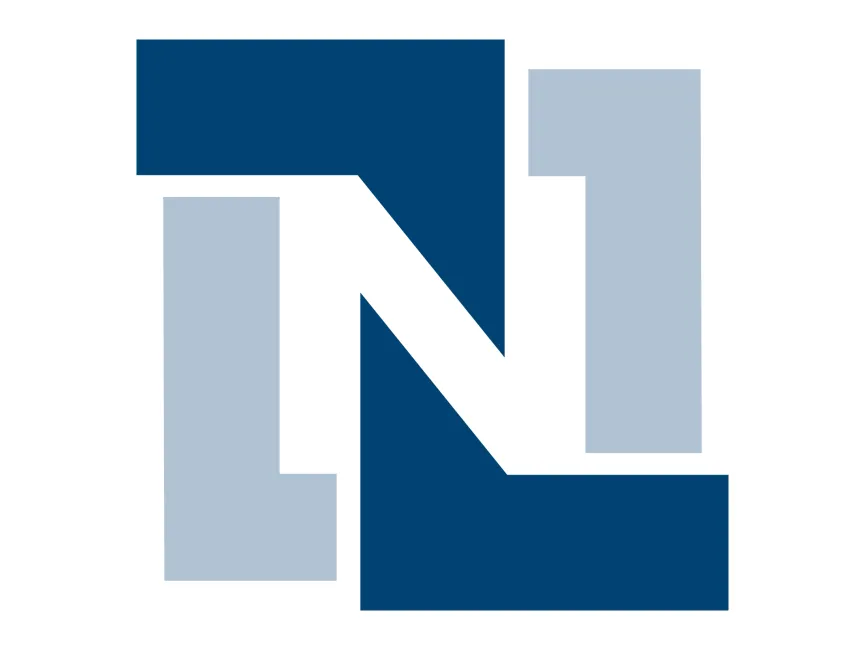 Netsuite Logo