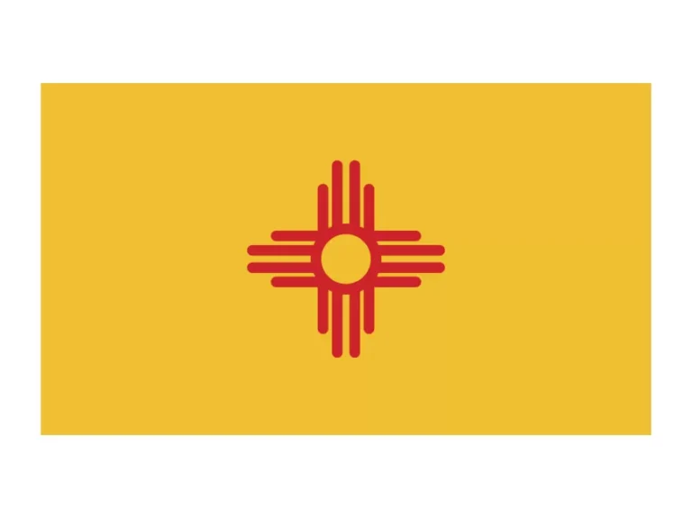 Newmexic Logo