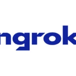 Ngrok Api Gateway Logo
